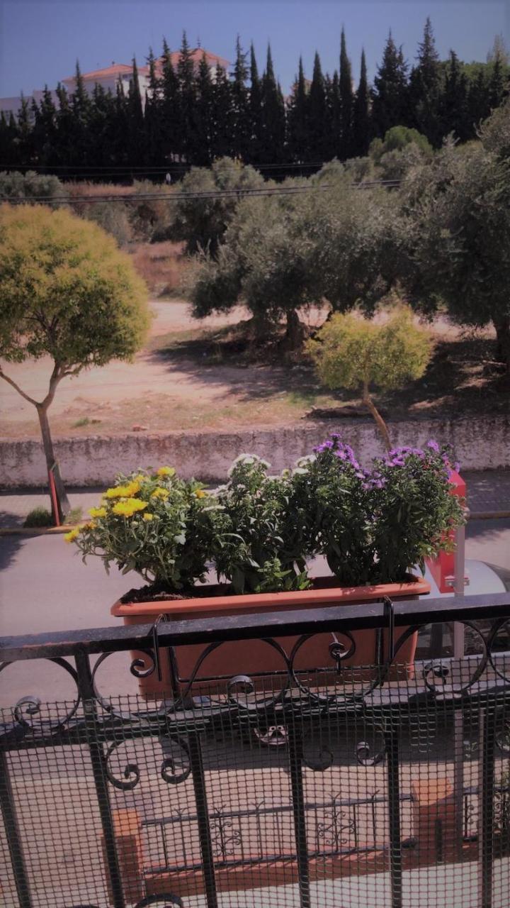 La Campina Hostel Ronda Bagian luar foto